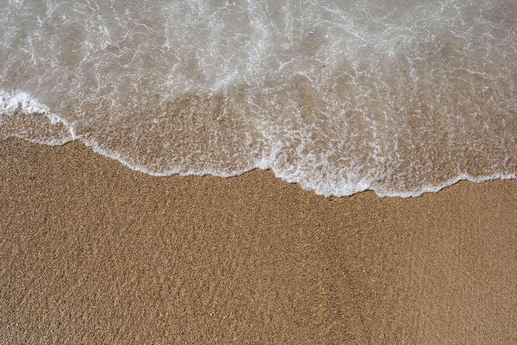 The David Kempinski Tel-Aviv Nature photo